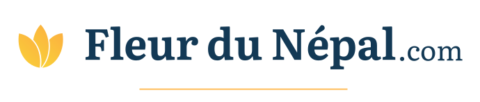 Fleur du Népal pashmina